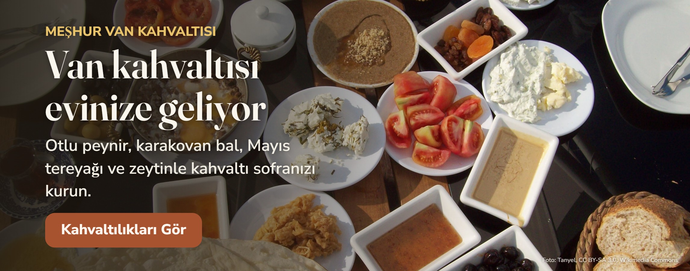 Van & Güvercin v2 (gerçek fotoğraflı)